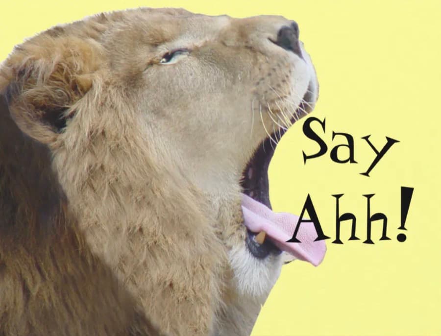 Sample card: say ahh
